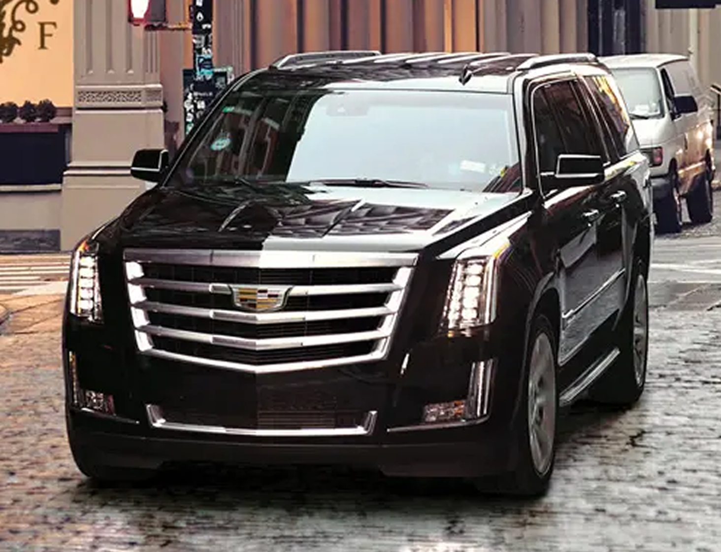 Business Van/ SUV